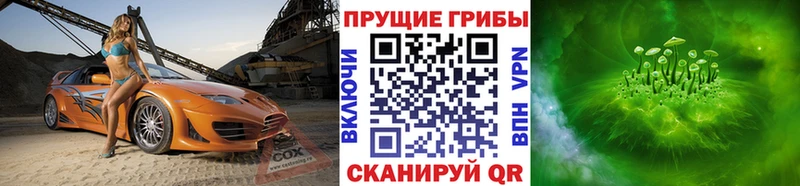 blacksprut зеркало  Весьегонск  Галлюциногенные грибы мухоморы  цены наркотик 